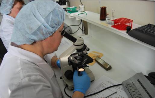 Рисунок5.jpg Рисунок5.jpg